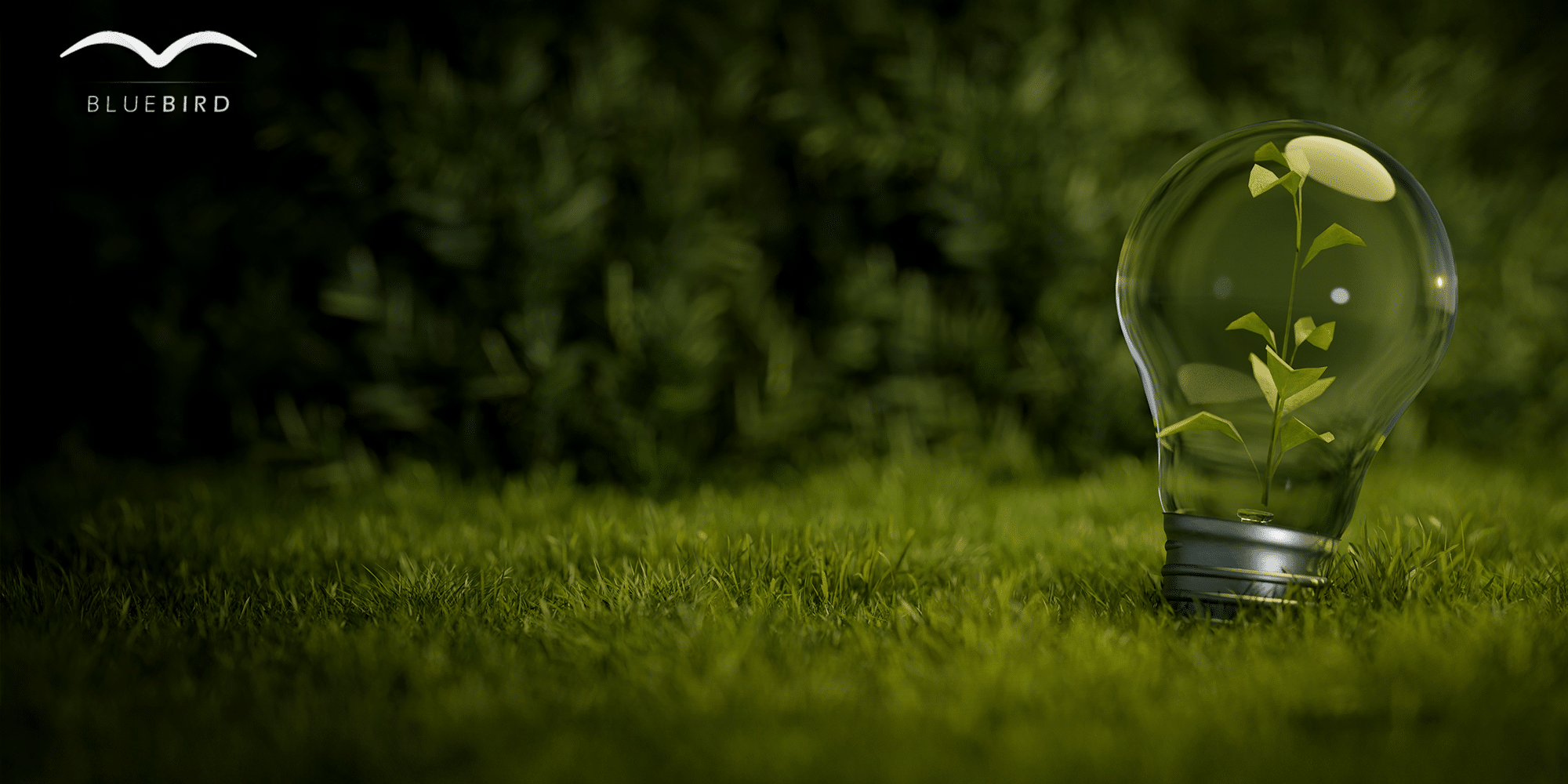 ESG Standards als Effizienztreiber
