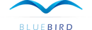 BLUEBIRD Consulting: Gemeinsam zum Projekterfolg