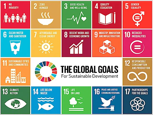 The global goals for sustainable development.