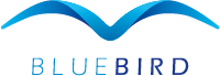 BLUEBIRD