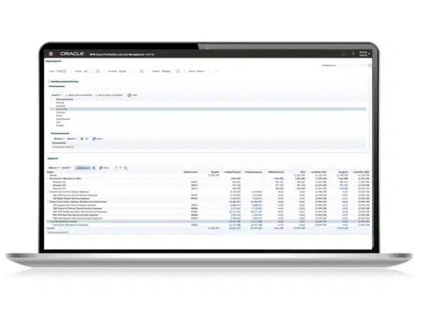 An image of a laptop screen showing a spreadsheet.